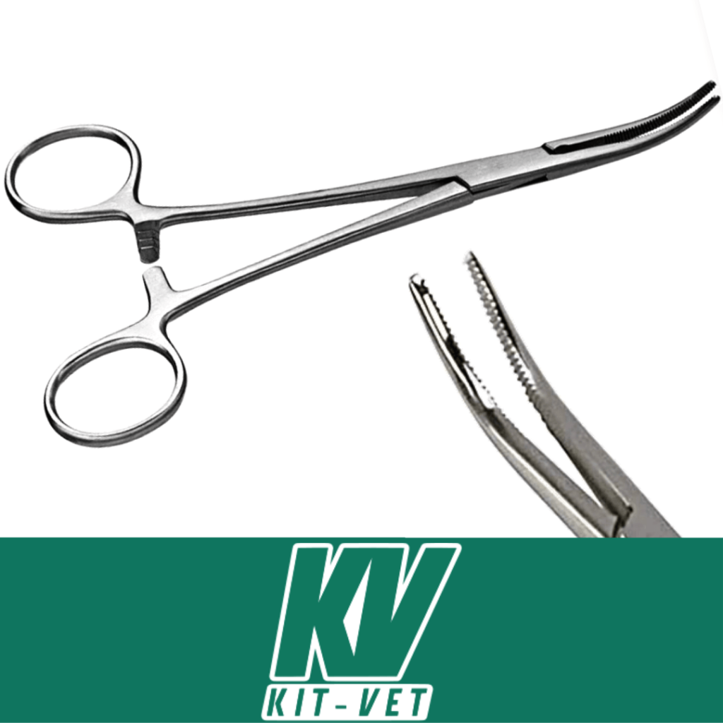 Pinza Kelly Curva Kit Vet