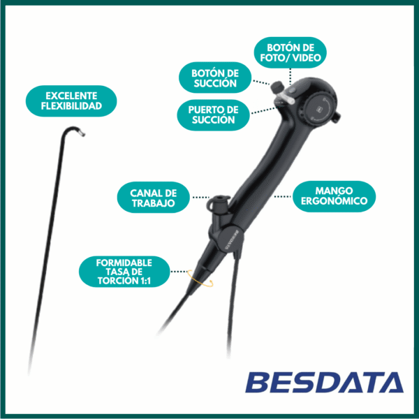 endoscopio flexible besdata veterinario