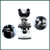 microscopio biologico binocular