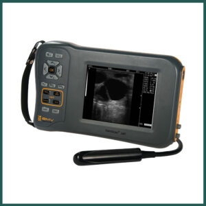 Ecógrafo BMV FarmScan L60