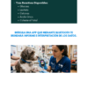 medidor de lactato veterinario multifuncional