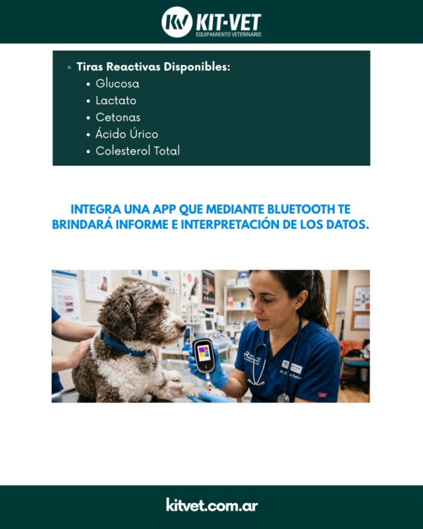 medidor de lactato veterinario multifuncional