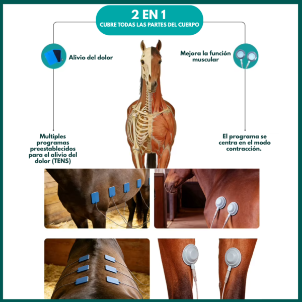 Equipo de electroterapia para TENS y EMS veterinario
