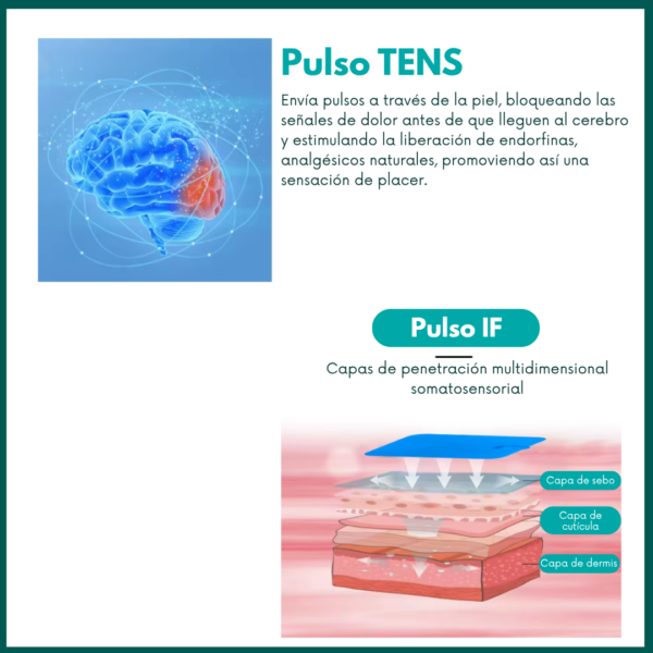 Equipo de electroterapia para TENS y EMS animales