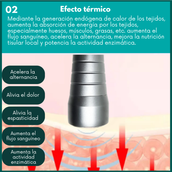 Equipo ultrasonico dual veterinario
