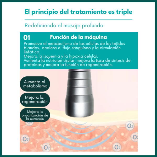 Equipo ultrasonico dual veterinario