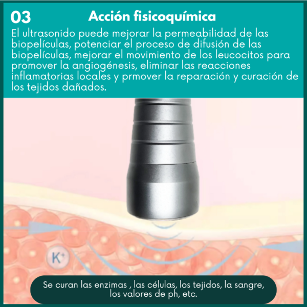 Equipo de terapia ultrasonica para animales