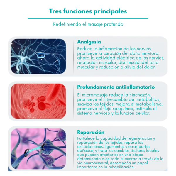 Equipo de terapia ultrasonico dual veterinario